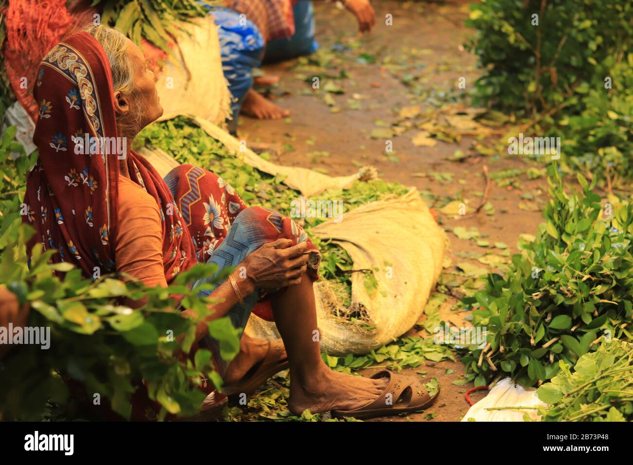 Femme à poil blanc sur le marché aux fleurs de Mullik Ghat Banque D'Images