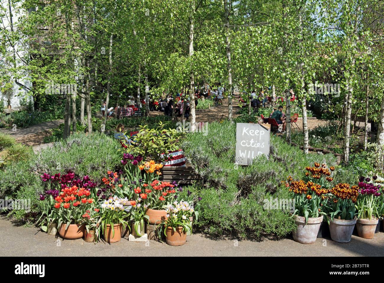 Dalston Eastern Curve Garden, un jardin urbain communautaire avec tulipes dans des pots En Terre Cuite et un panneau disant Garder les villes Wild, Londres Borough de Hackney. Banque D'Images