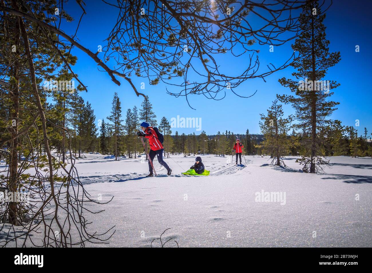 Mere En Skis De Fond Tirant Le Jeune Enfant Sur Le Traineau A Travers Le Merveilleux Paysage D Hiver Scene Eclairee Par Le Soleil Creant Des Contrastes Profonds Photo Stock Alamy