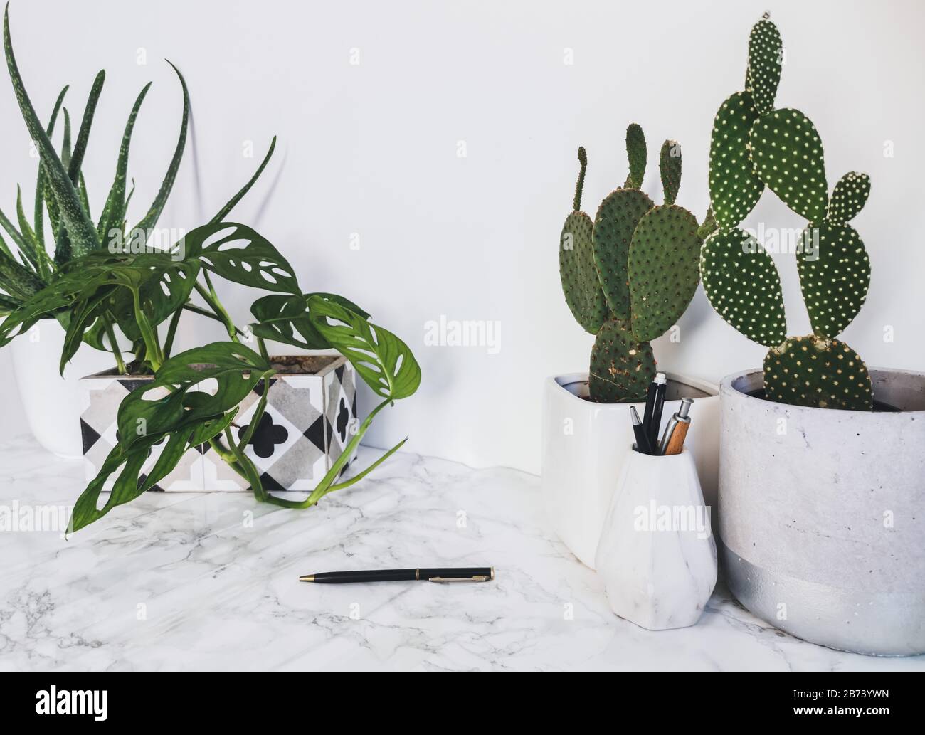 Bureau de travail blanc propre avec papeterie et plusieurs plantes vertes telles que cactus et masque de singe pour le bien-être mental et physique au bureau Banque D'Images