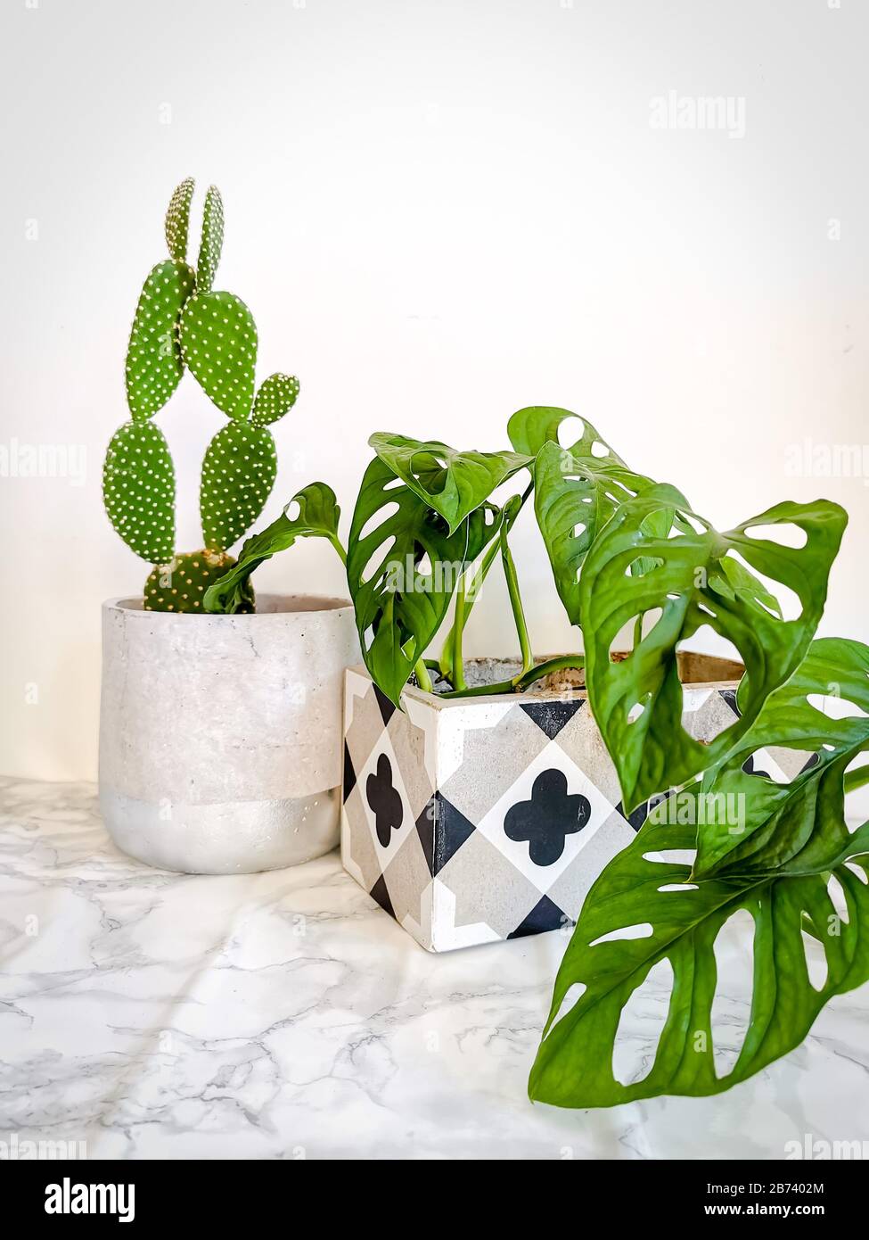 Bureau de travail blanc propre avec papeterie et plusieurs plantes vertes telles que cactus et masque de singe pour le bien-être mental et physique au bureau Banque D'Images