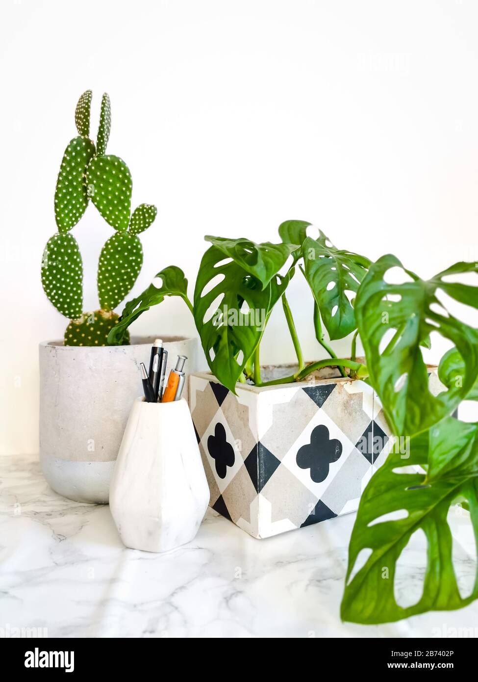 Bureau de travail blanc propre avec papeterie et plusieurs plantes vertes telles que cactus et masque de singe pour le bien-être mental et physique au bureau Banque D'Images
