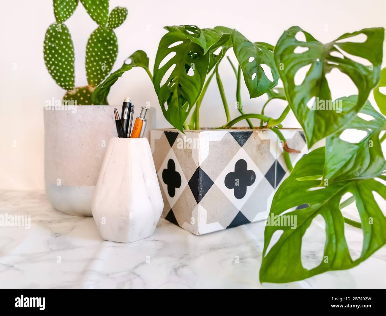 Bureau de travail blanc propre avec papeterie et plusieurs plantes vertes telles que cactus et masque de singe pour le bien-être mental et physique au bureau Banque D'Images
