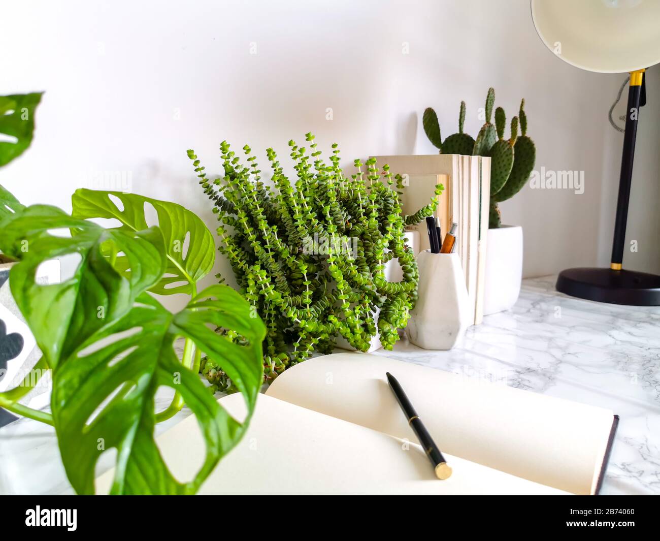 Intérieur de travail blanc brillant avec plantes intérieures et articles de papeterie créant un environnement de travail sans stress Banque D'Images