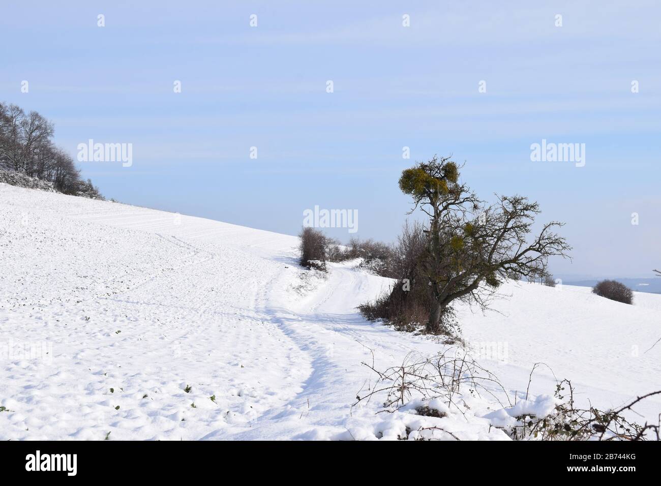 Neige sur l'Eifel près de Maria Laach Banque D'Images