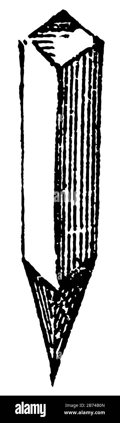 Cette illustration représente Peg qui est une petite pièce cylindrique en bois, un dessin vintage ou une illustration de gravure. Illustration de Vecteur