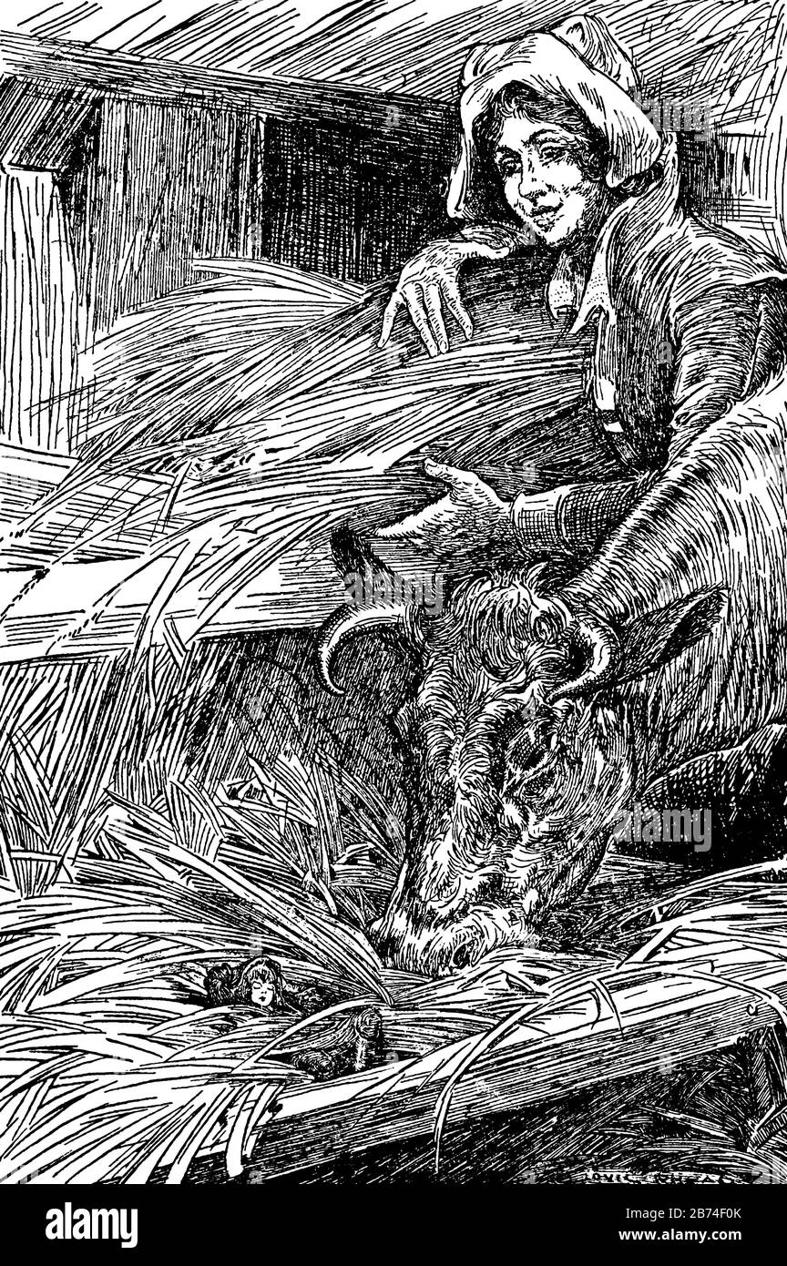 Une femme nourrissant de l'herbe à la vache, et un petit homme coincé dans l'herbe à l'intérieur de la boîte, dessin vintage de ligne ou illustration de gravure Illustration de Vecteur