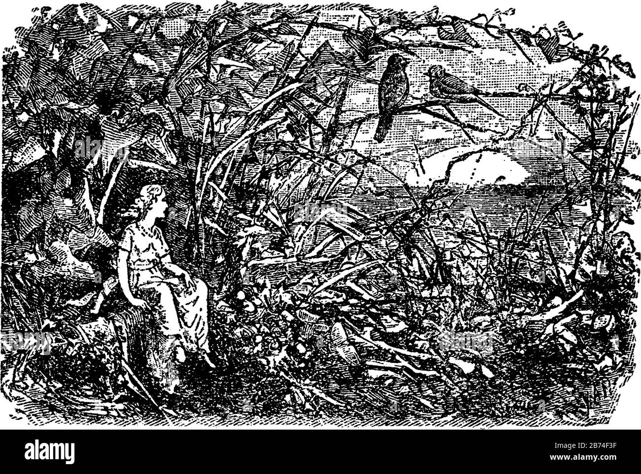 Une femme assise dans les bois, deux oiseaux assis sur la branche de l'arbre, dessin vintage ou gravure illustration Illustration de Vecteur