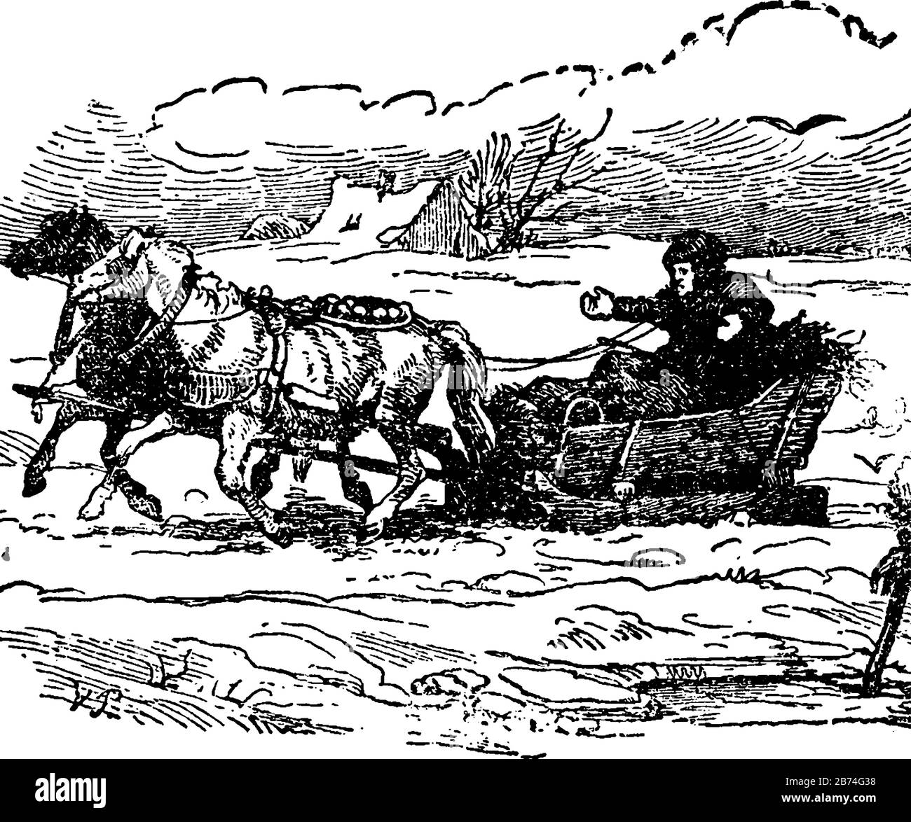 Un homme en charrette à cheval, dessin vintage ou illustration de gravure Illustration de Vecteur