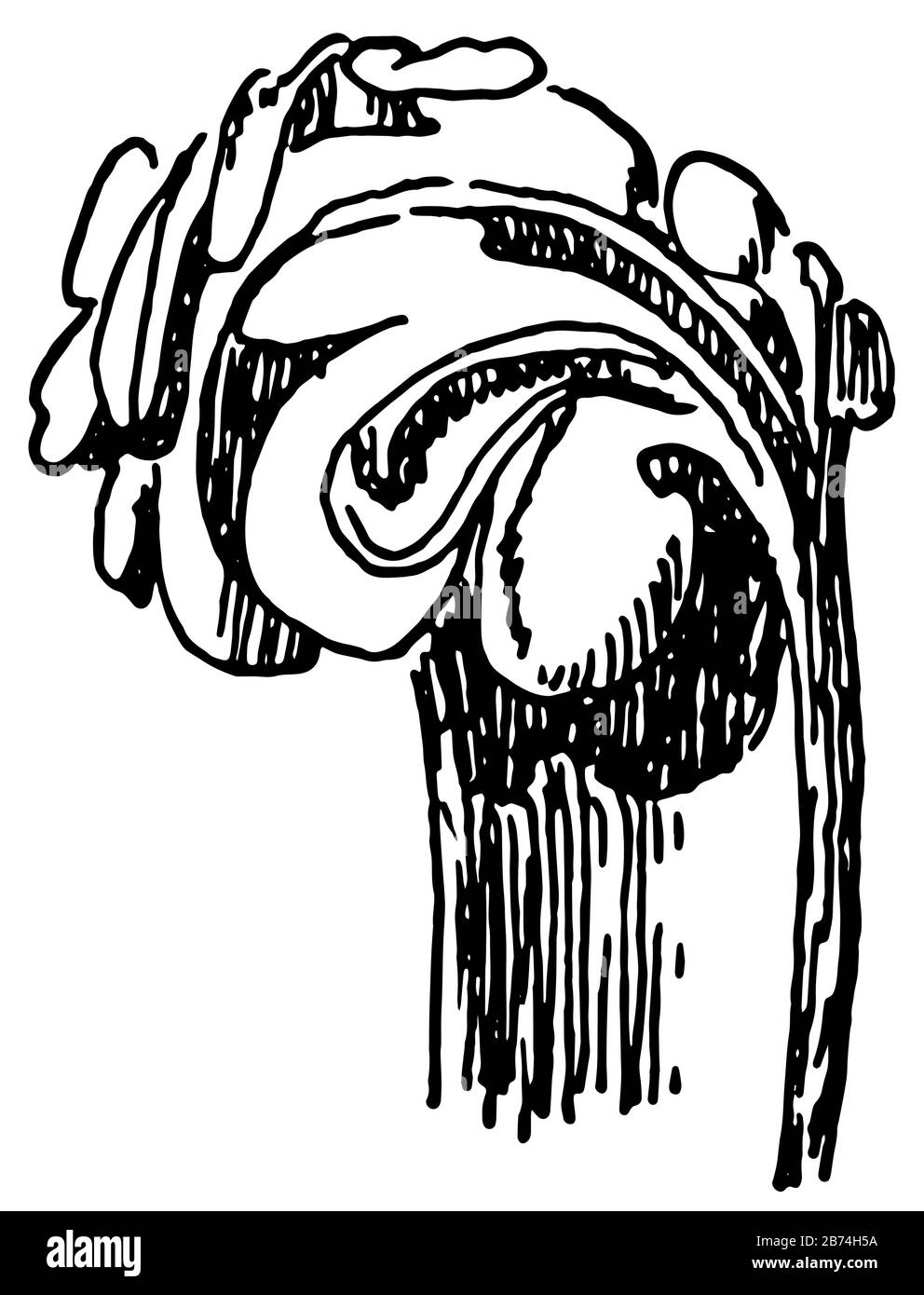 Crocket de la cathédrale de Wells, une sculpture stylisée, des feuilles courbés, des bourgeons, des fleurs, utilisées à intervalles réguliers, le dessin de ligne vintage ou la gravure illustr Illustration de Vecteur