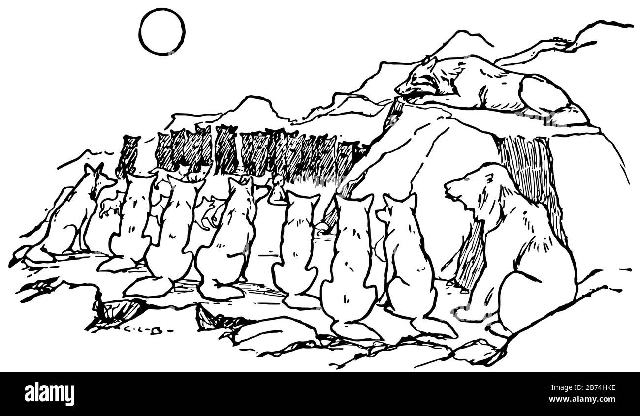 Mowgli's Brothers, cette photo montre un loup sur la roche et beaucoup de loups assis sur la colline, dessin de ligne vintage ou illustration de gravure Illustration de Vecteur