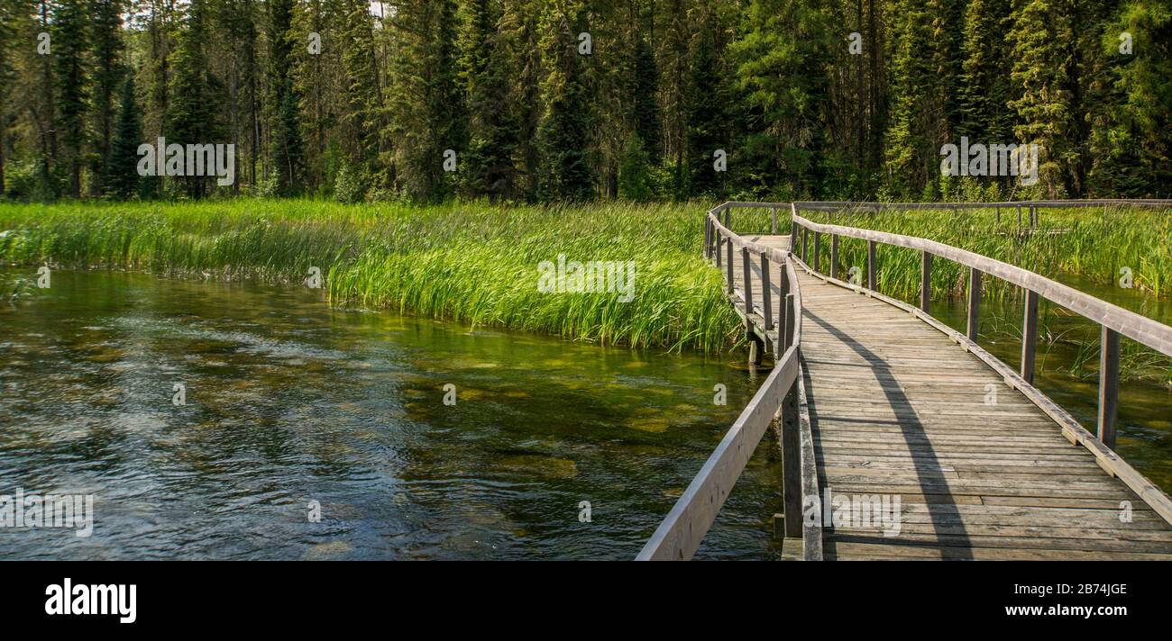 Vue panoramique sur un pont en bois dans la forêt au-dessus d'un lac Banque D'Images