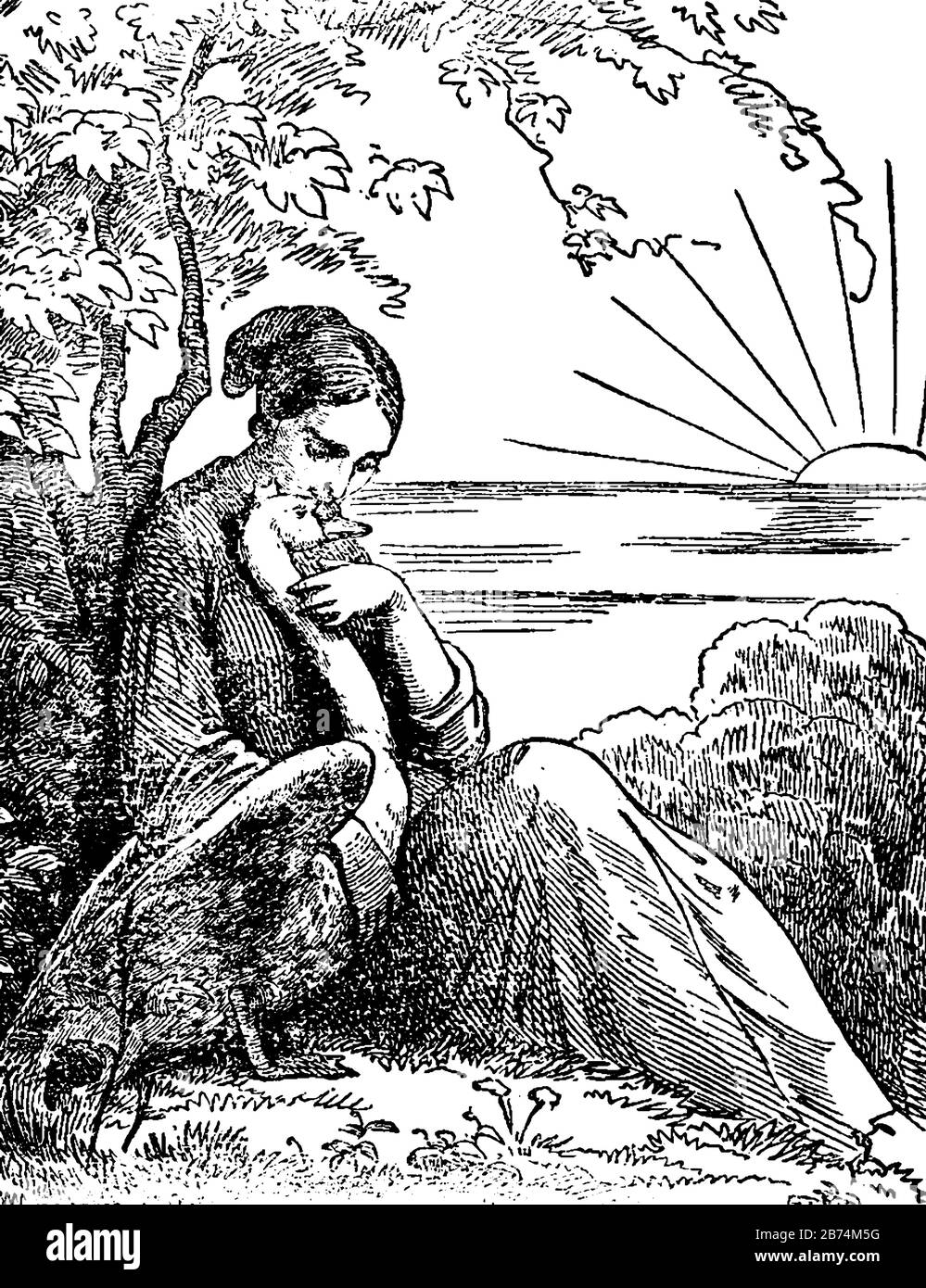 Une femme assise sous l'arbre et embrassant oiseau de cygne, soleil et mer en arrière-plan, dessin vintage de ligne ou illustration de gravure Illustration de Vecteur