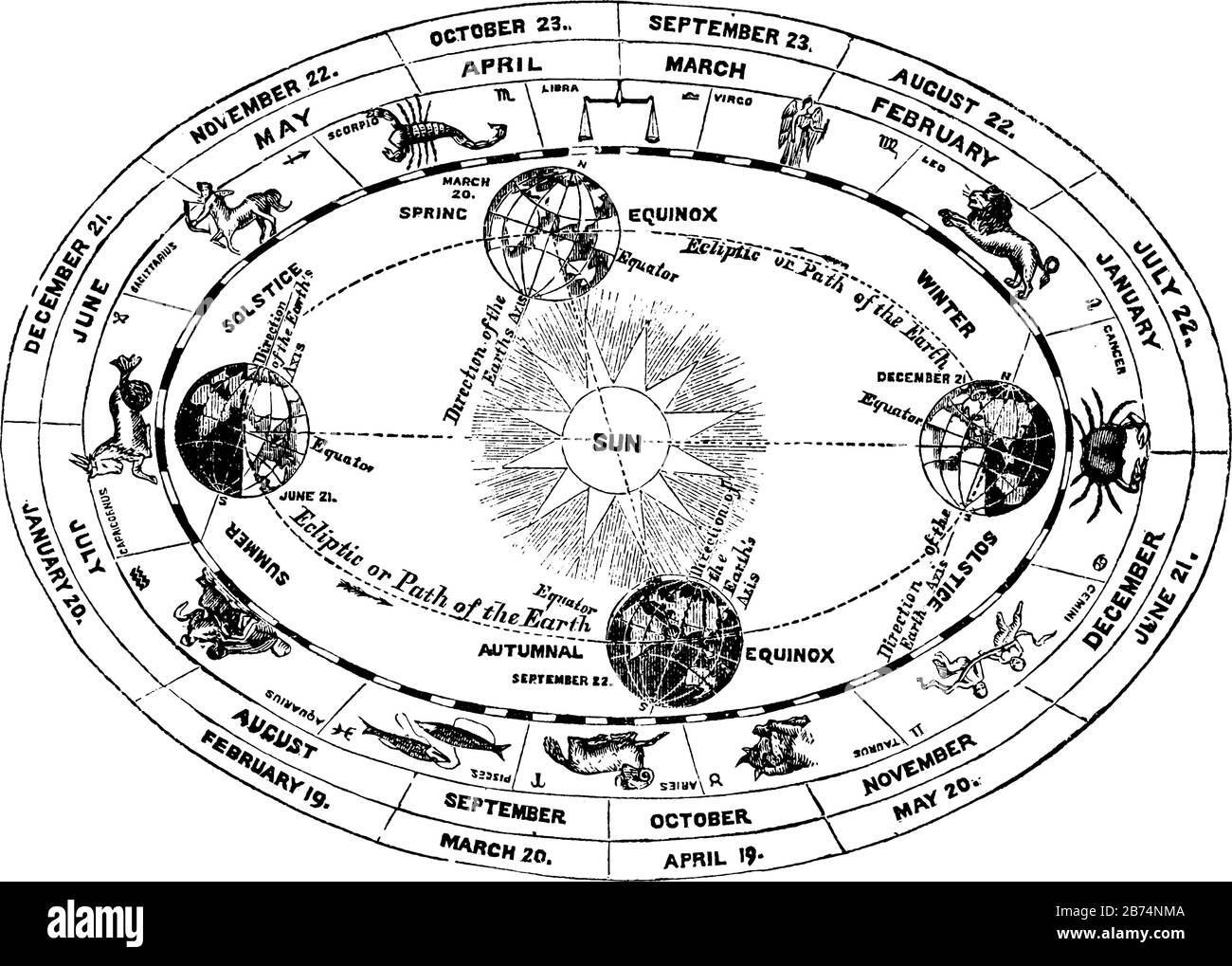 L'influence du Soleil sur la position de la Terre est la base sur laquelle l'année est divisée, dessin de ligne vintage ou illustration de gravure Illustration de Vecteur