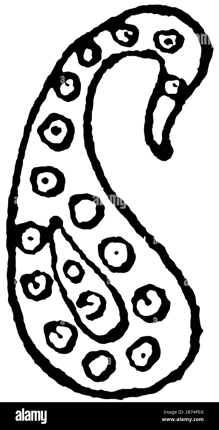 Pear Design comme cône et la feuille de palmier, Il Y a une grande différence d'opinion quant à l'origine et la signification de ce motif, dessin vintage de ligne ou e Illustration de Vecteur