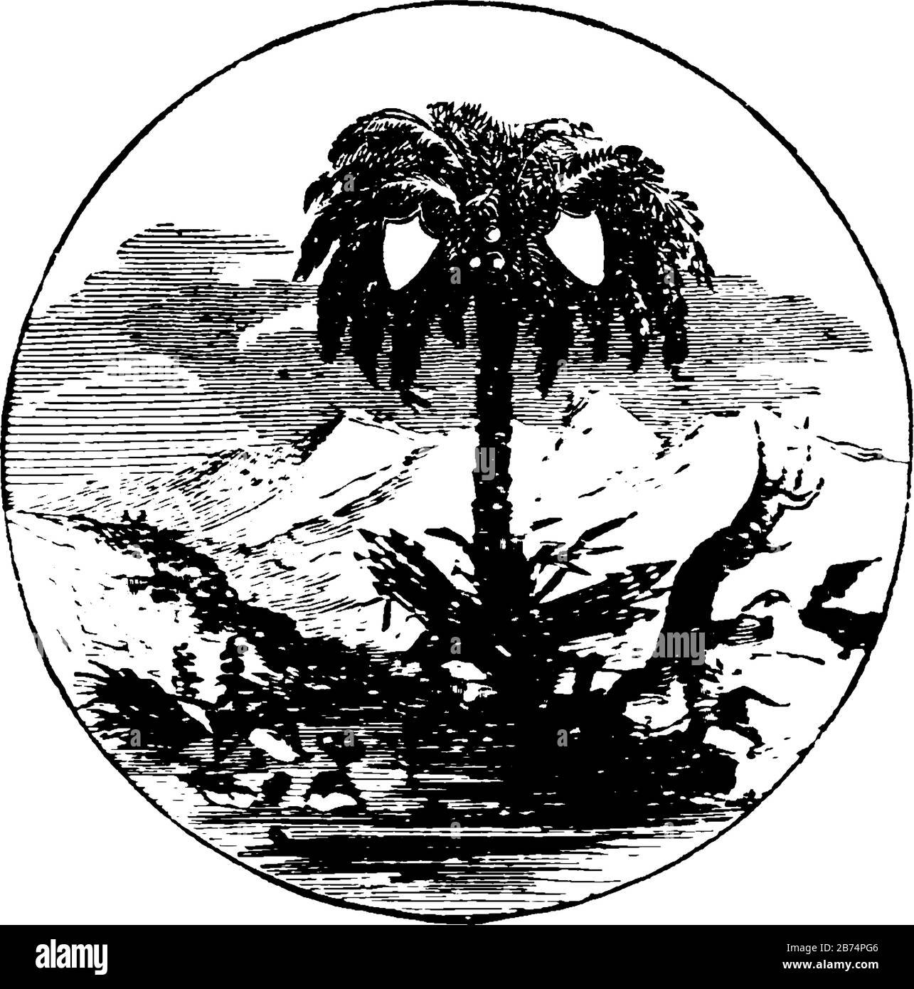 Le sceau officiel de l'État américain de Caroline du Sud en 1889, ce sceau montre palmetto arbre et un arbre cassé et tombé, deux boucliers sur PAL Illustration de Vecteur