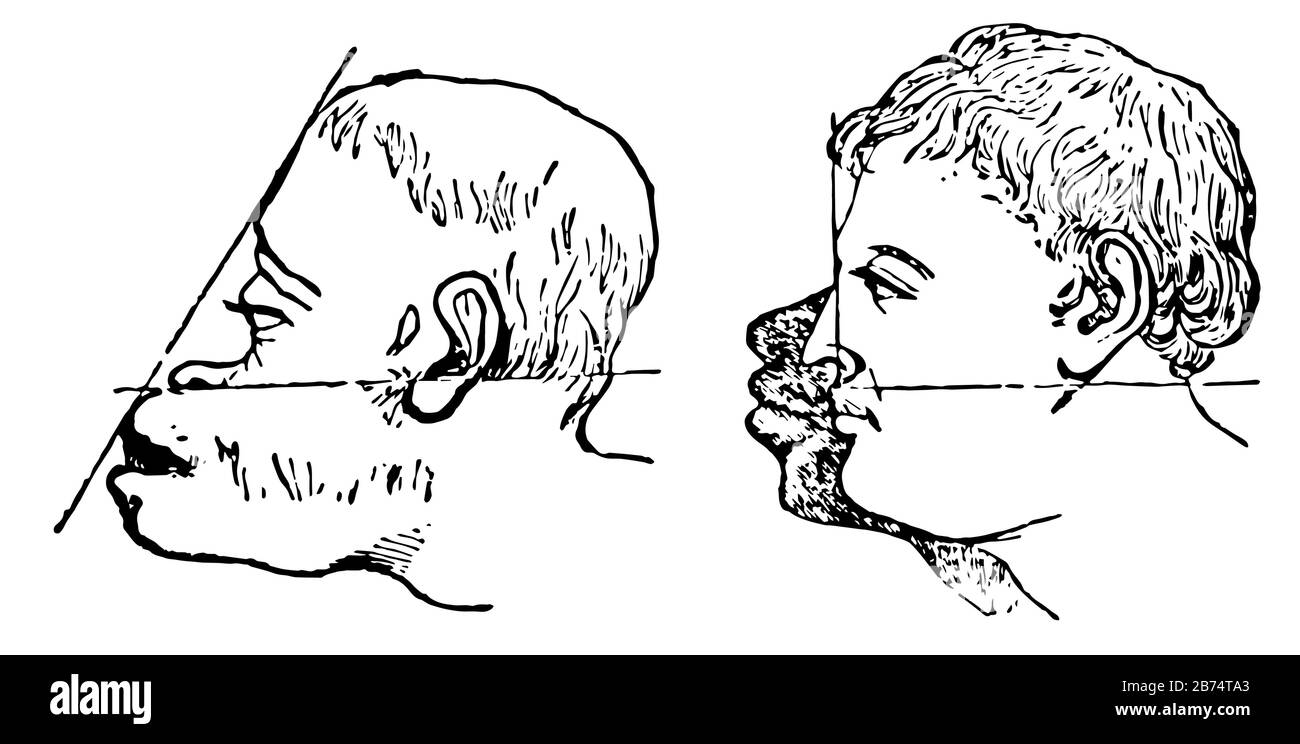 Les Angles faciaux sont un angle formé de deux lignes imaginaires, de dessin vintage ou d'illustration de gravure. Illustration de Vecteur