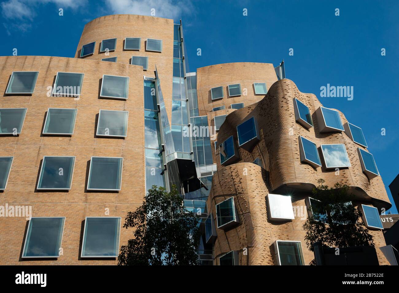 26.09.2019, Sydney, Nouvelle-Galles du Sud, Australie - le Dr Chau Chak Wing Building, qui abrite la Business School of the Technical University UTS, conçu par Frank Gehry À USAGE ÉDITORIAL LIMITÉ - MENTION OBLIGATOIRE DE L'ARTISTE LORS DE SA PUBLICATION. POUR USAGE ÉDITORIAL UNIQUEMENT - MENTION DE L'ARTISTE OBLIGATOIRE [TRADUCTION AUTOMATIQUE] Banque D'Images