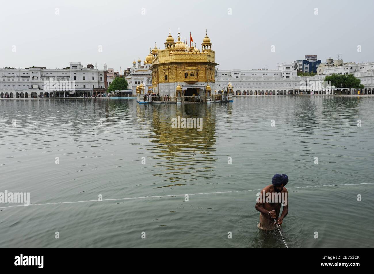22.07.2011, Amritsar, Punjab, Inde - UN Sikh dévoré baigne dans la piscine Sainte (Amrit Sarover) du Temple d'Or, le plus haut sanctuaire des Sikhs. [traduction automatique] Banque D'Images