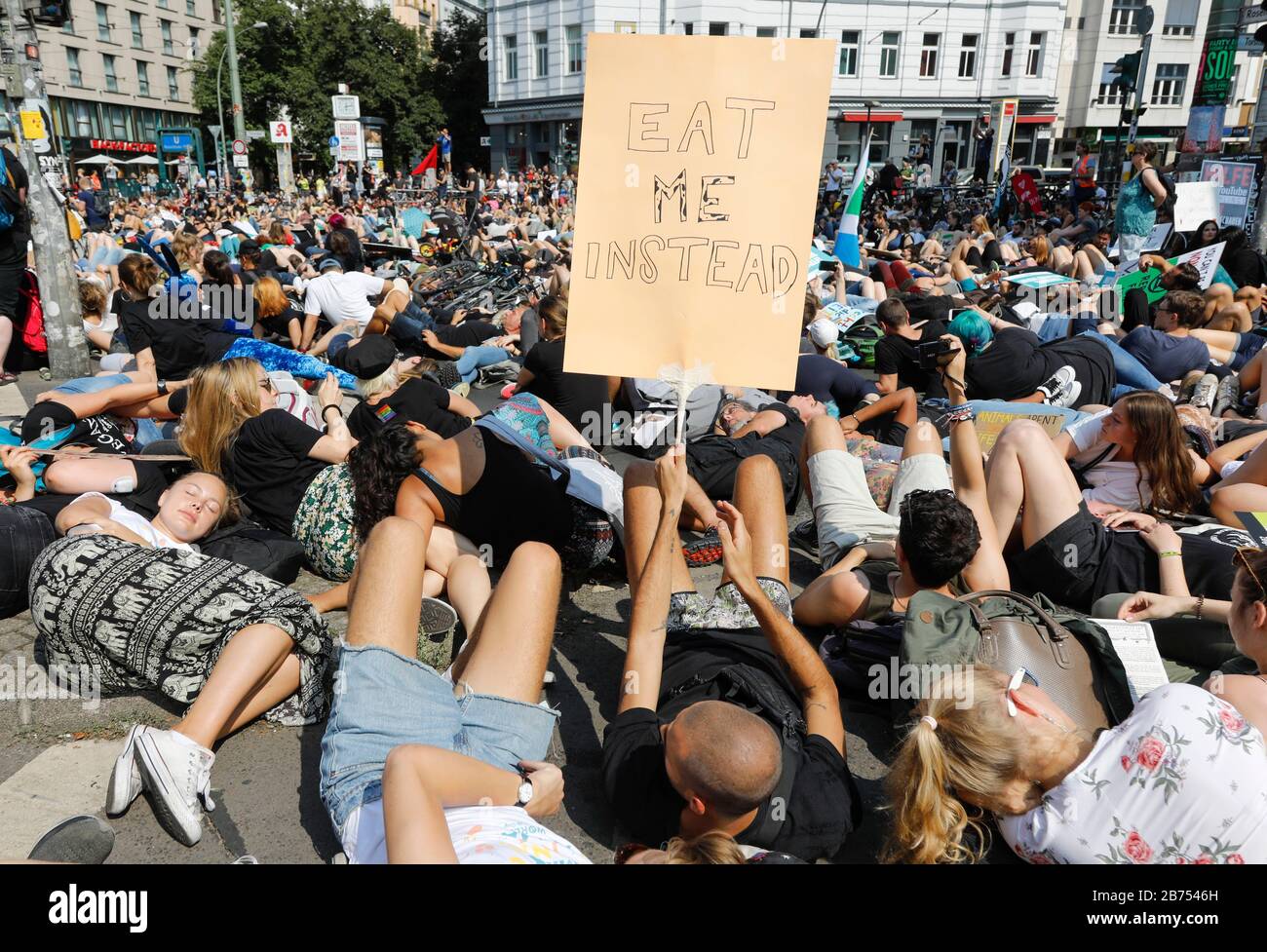 'Mass die in', à la démo 'Official Animal rights March 2019 à la Berliner Rosenthaler Platz, le 25.08.2019. La Marche des droits des animaux est une démonstration de la communauté végétalienne pour la protection des animaux et les droits des animaux. [traduction automatique] Banque D'Images