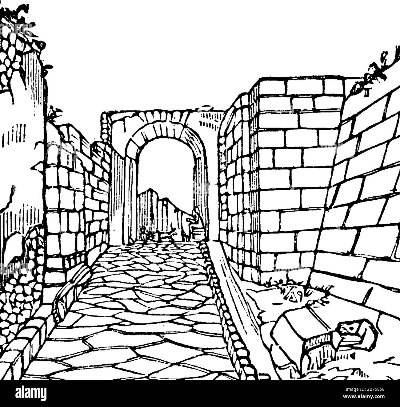 Via ou une route publique, écoutez ces célèbres routes pavées, de nombreux spécimens se trouvant dans le pays autour de Rome, dessin de ligne vintage ou gravure illu Illustration de Vecteur