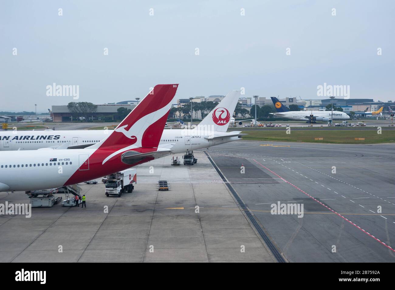 22.03.2019, Singapour, République de Singapour, Asie - aéronefs à passagers de Qantas Airways et de Japan Airlines à l'aéroport de Changi. Les deux compagnies aériennes sont membres de l'Alliance one World Airline. [traduction automatique] Banque D'Images