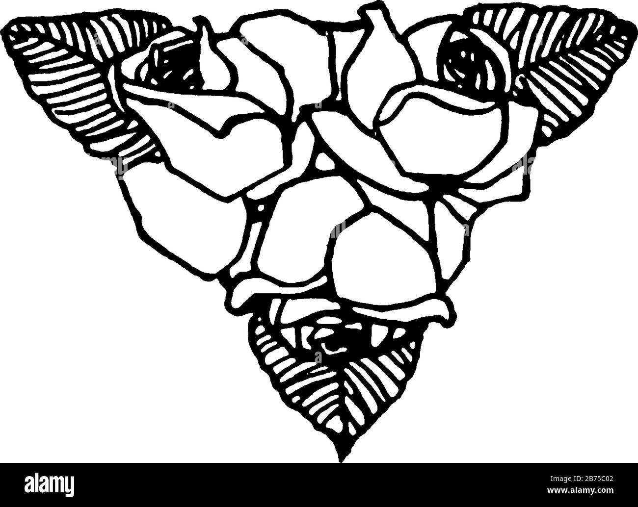 La pièce à fleurs est un motif roses, un dessin vintage ou une gravure. Illustration de Vecteur