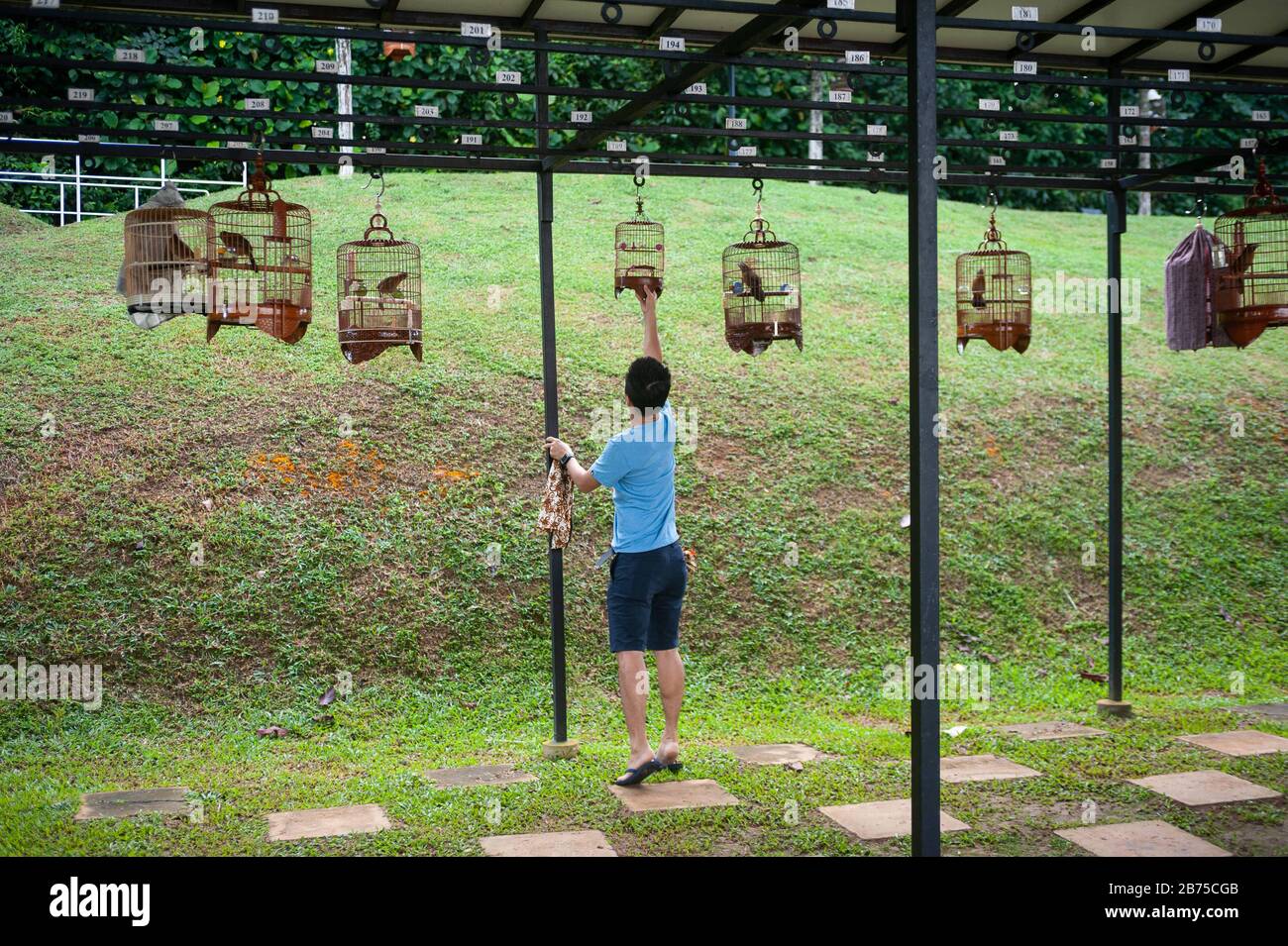 02.12.2018, Singapour, République de Singapour, Asie - un jeune amoureux des oiseaux raccroche l'une de ses cages à oiseaux au coin des oiseaux de Kebun Baru à Ang Mo Kio Town Garden West. [traduction automatique] Banque D'Images