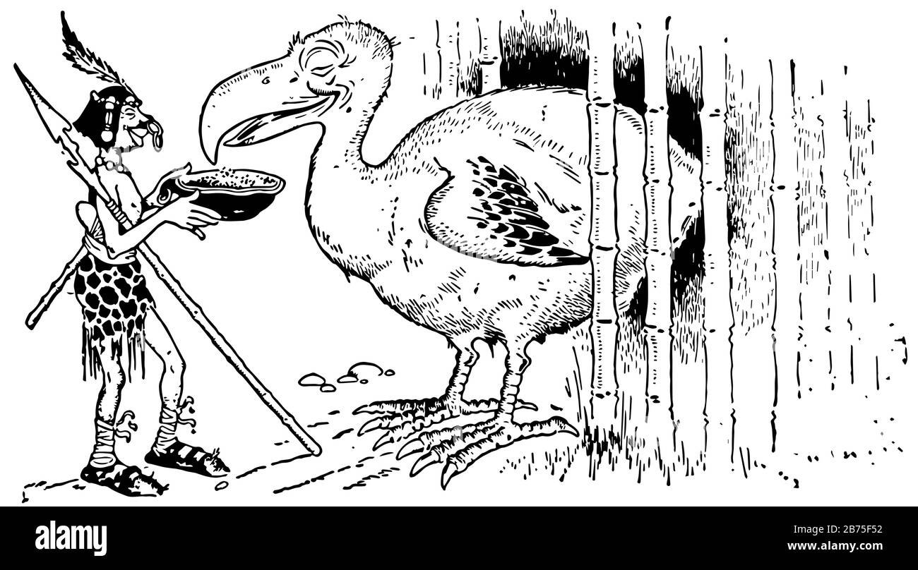 Dodo est un oiseau disparu sans flightless qui était endémique à l'île de Maurice à l'est de Madagascar dans l'océan Indien, dessin de ligne vintage ou engravi Illustration de Vecteur