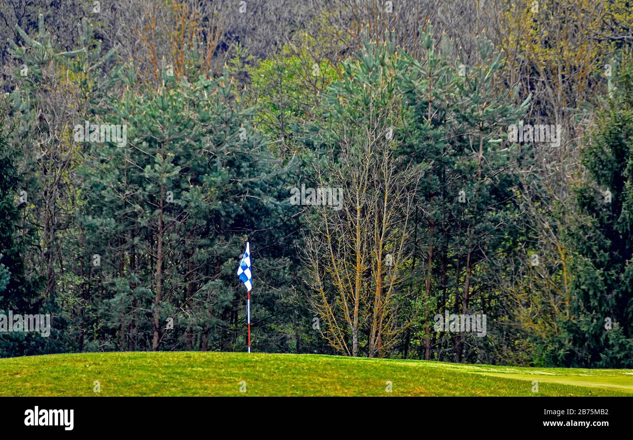 drapeau bleu et blanc à damier au vert d'un parcours de golf sur le bord d'une forêt Banque D'Images