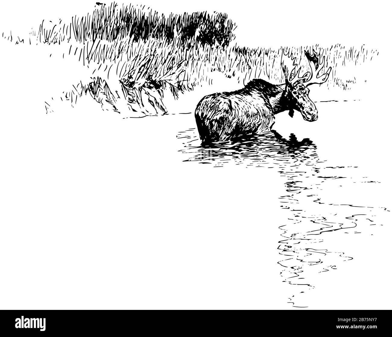 Elk et la nature dans ce dessin de bordure, dessin de ligne vintage ou illustration de gravure. Illustration de Vecteur