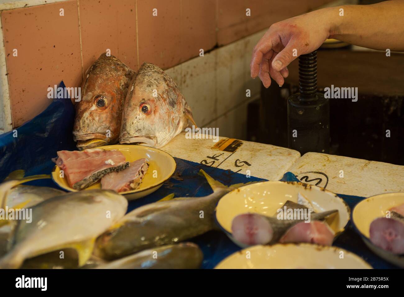 27.07.2017, Singapour, République de Singapour, Asie - le stand d'un vendeur de poissons sur le marché de Chinatown. [traduction automatique] Banque D'Images