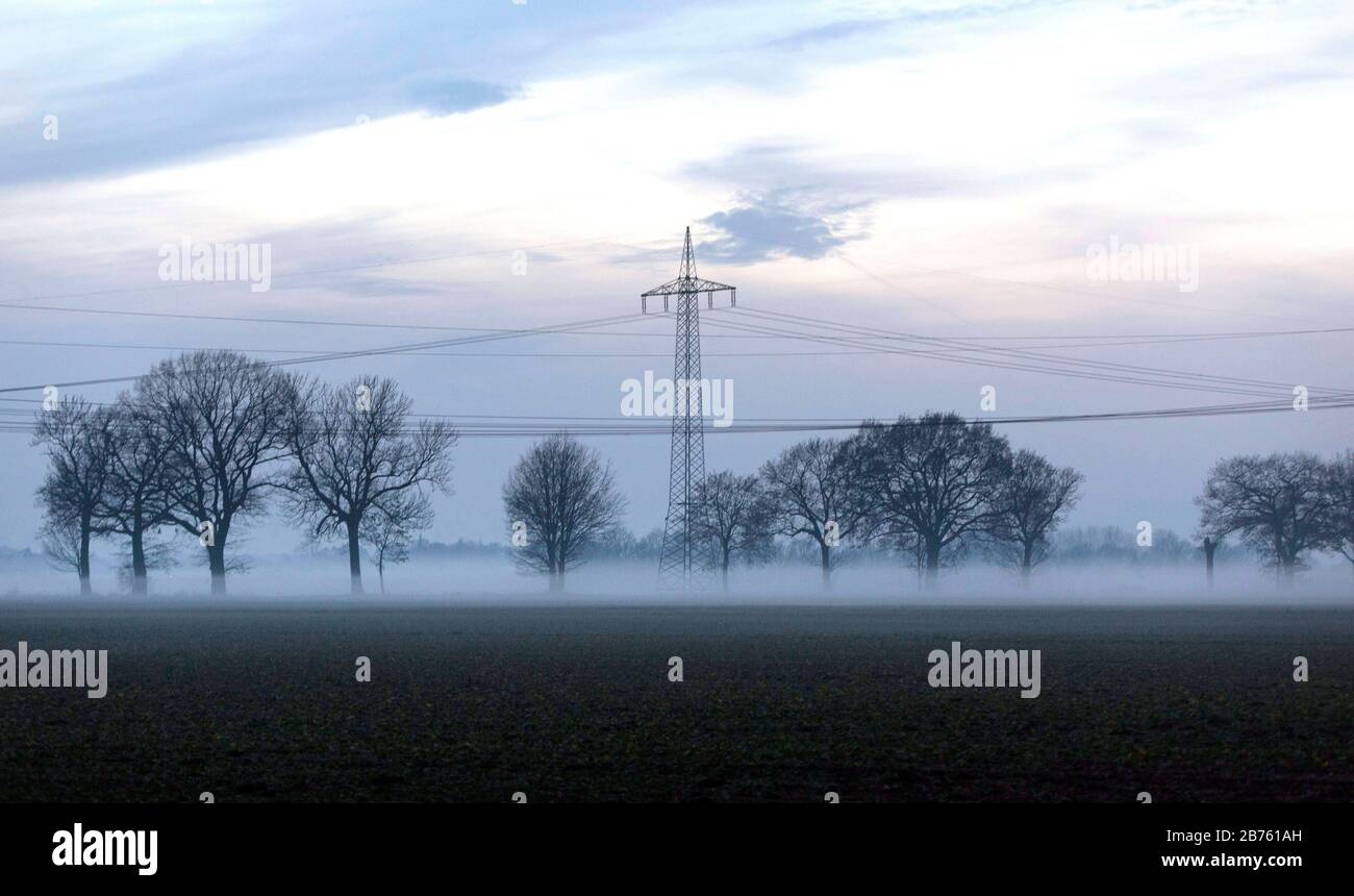 Lignes électriques et poteaux électriques dans le brouillard dans un champ avec arbres à Nauen, 23.11.2016. [traduction automatique] Banque D'Images