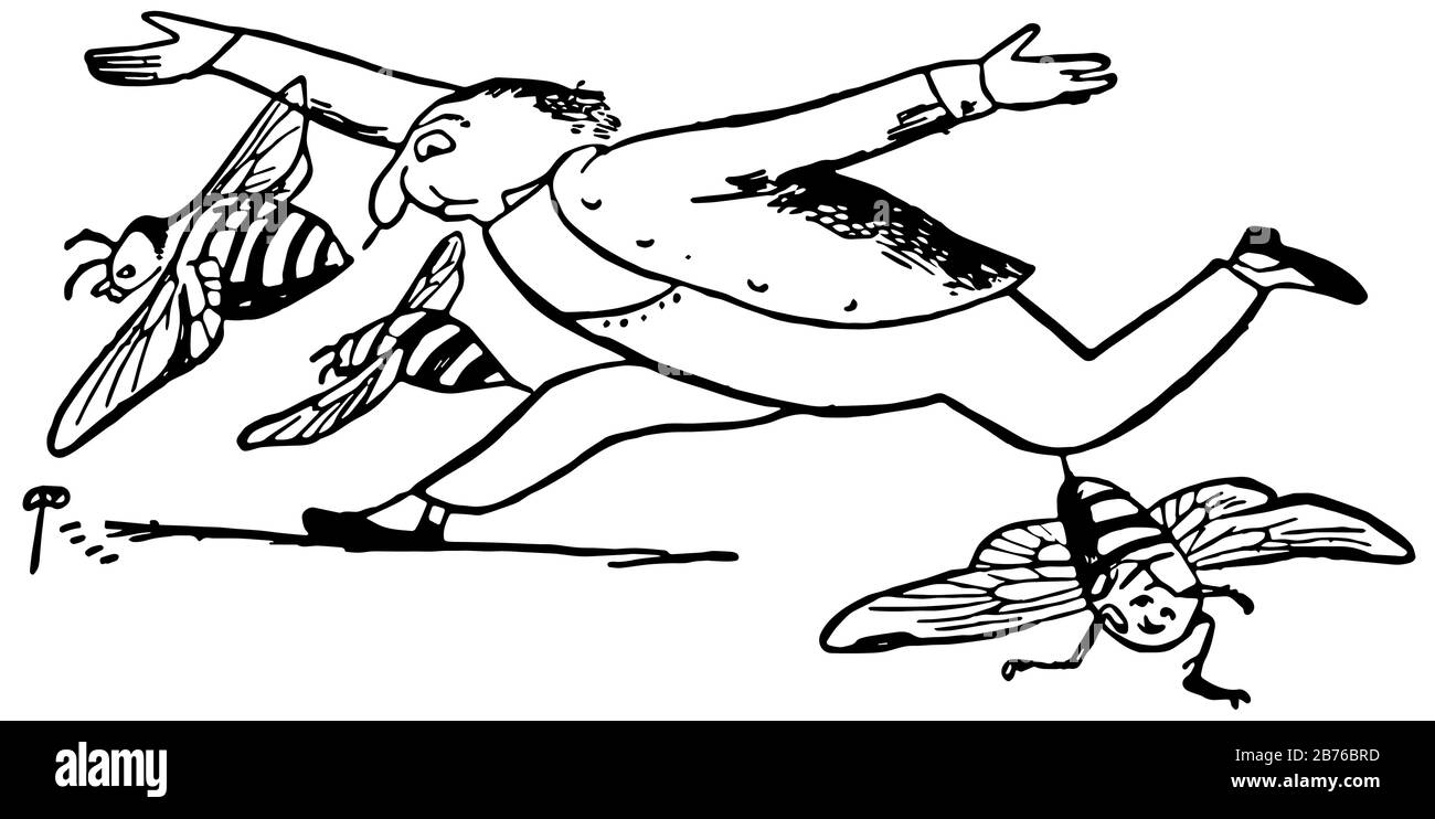 Edward Lear's Rhymes, cette scène montre qu'un homme est en marche, trois abeilles autour de lui ont piqué son nez et ses genoux, dessin vintage de ligne ou gravure illustr Illustration de Vecteur