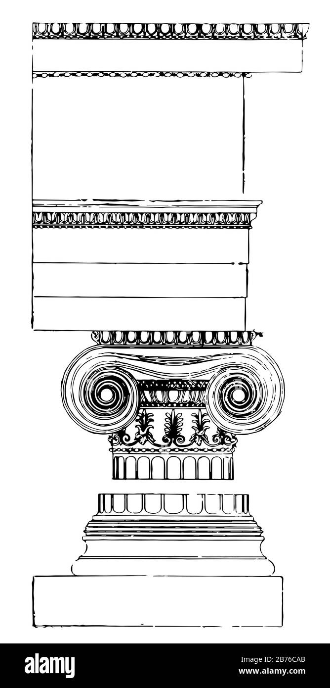 Ordre ionique, XVIe siècle, Renaissance, architecte, théoricien, dessin ou gravure vintage. Illustration de Vecteur