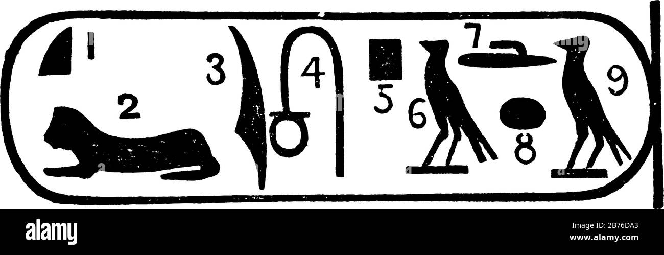 Rosetta Stone ou hiéroglyphes de lecture, hiéroglyphes égyptiens anciens, pierre avec écriture en deux langues, dessin vintage ou gravure illustrat Illustration de Vecteur