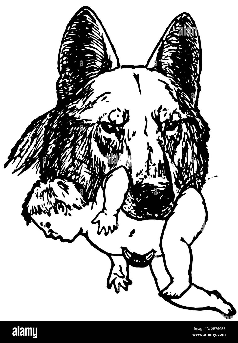 Mowgli S Brothers Cette Photo Montre Un Bebe Dans Des Machoires De Loup Dessin Vintage Ou Gravure D Illustration Image Vectorielle Stock Alamy