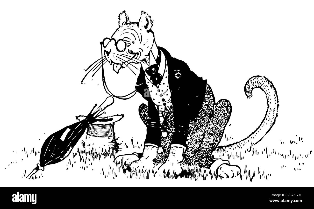 Puma, cette photo montre un animal habillé et assis sur le sol, chapeau et  parapluie au sol, dessin vintage de ligne ou illustration de gravure Image  Vectorielle Stock - Alamy