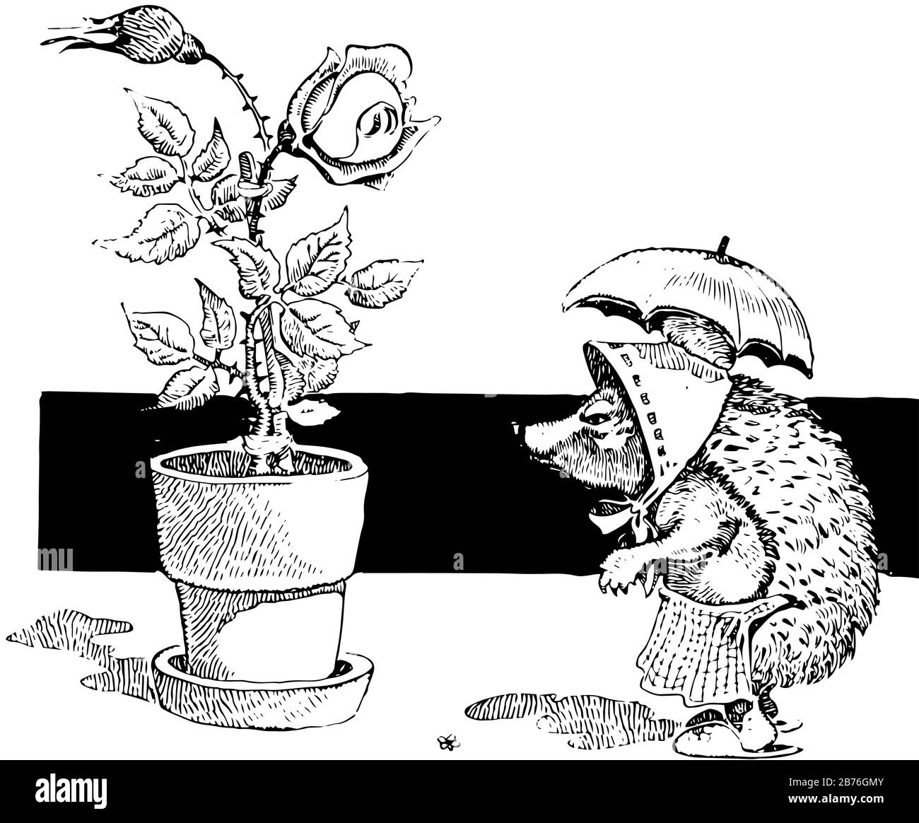 Porcupine, cette photo montre un porc-épic habillé et tenant un parapluie sur la tête, en regardant la fleur épineuse en pot, dessin vintage de ligne ou gravure Illustration de Vecteur