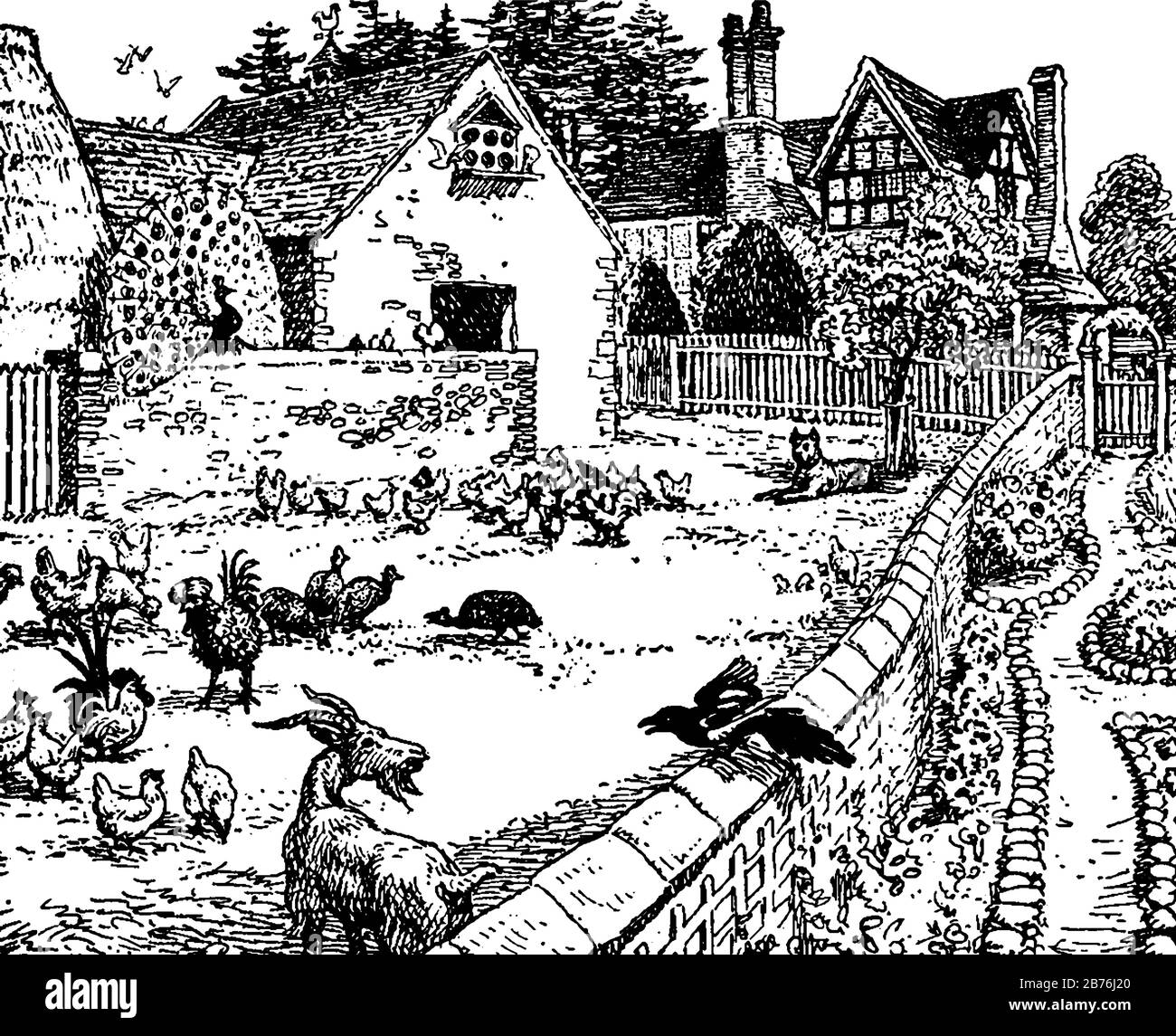 Maggie Tulliver, cette scène montre différents types d'animaux de compagnie dans les environs de la maison et un paon avec des plumes de propagation sur le mur composé, maisons A Illustration de Vecteur Maggie Tulliver, cette scène montre différents types d'animaux de compagnie dans les environs de la maison et un paon avec des plumes de propagation sur le mur composé, maisons A Illustration de Vecteur