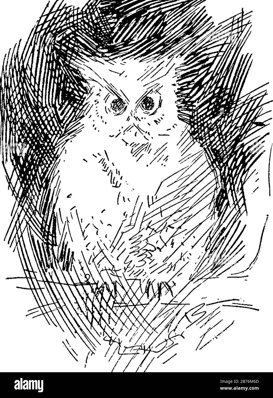 L'image illustre un hibou qui dit, Mais certaines fées l'ont entendu effrayer, et ici vous tenez peut-être », perché sur les branches de l'arbre, drawi de ligne vintage Illustration de Vecteur