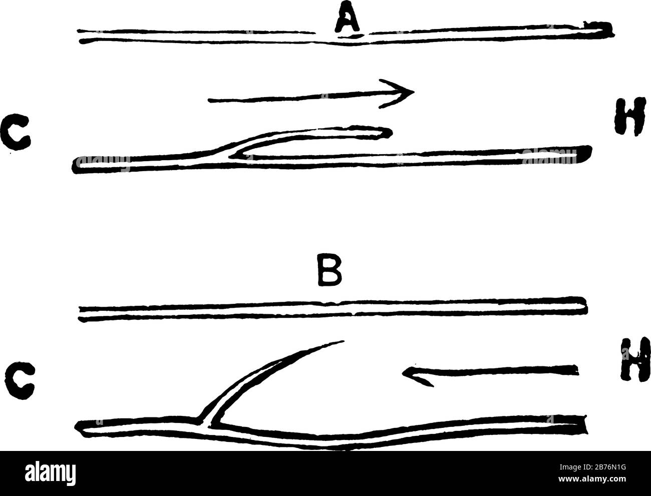 Schéma illustrant le mode d'action des valves des veines. Étiquettes : C, l'extrémité capillaire et H, l'extrémité cardiaque du réservoir, montrant trois d Illustration de Vecteur