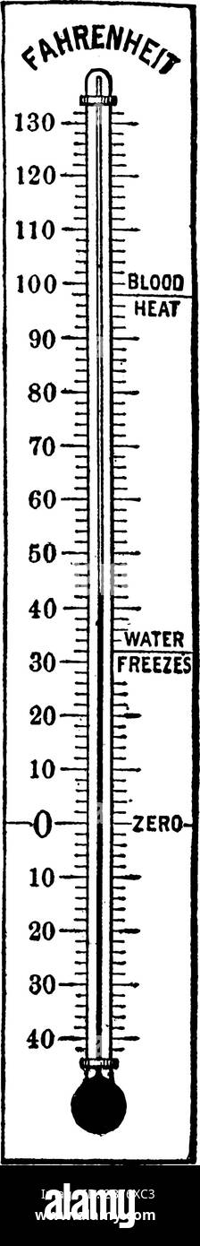 Thermomètre Fahrenheit à 41 degrés. La chaleur du sang, les gels d'eau et le zéro sont tous marqués sur le côté droit, il montre trois thermomètres en si différent Illustration de Vecteur