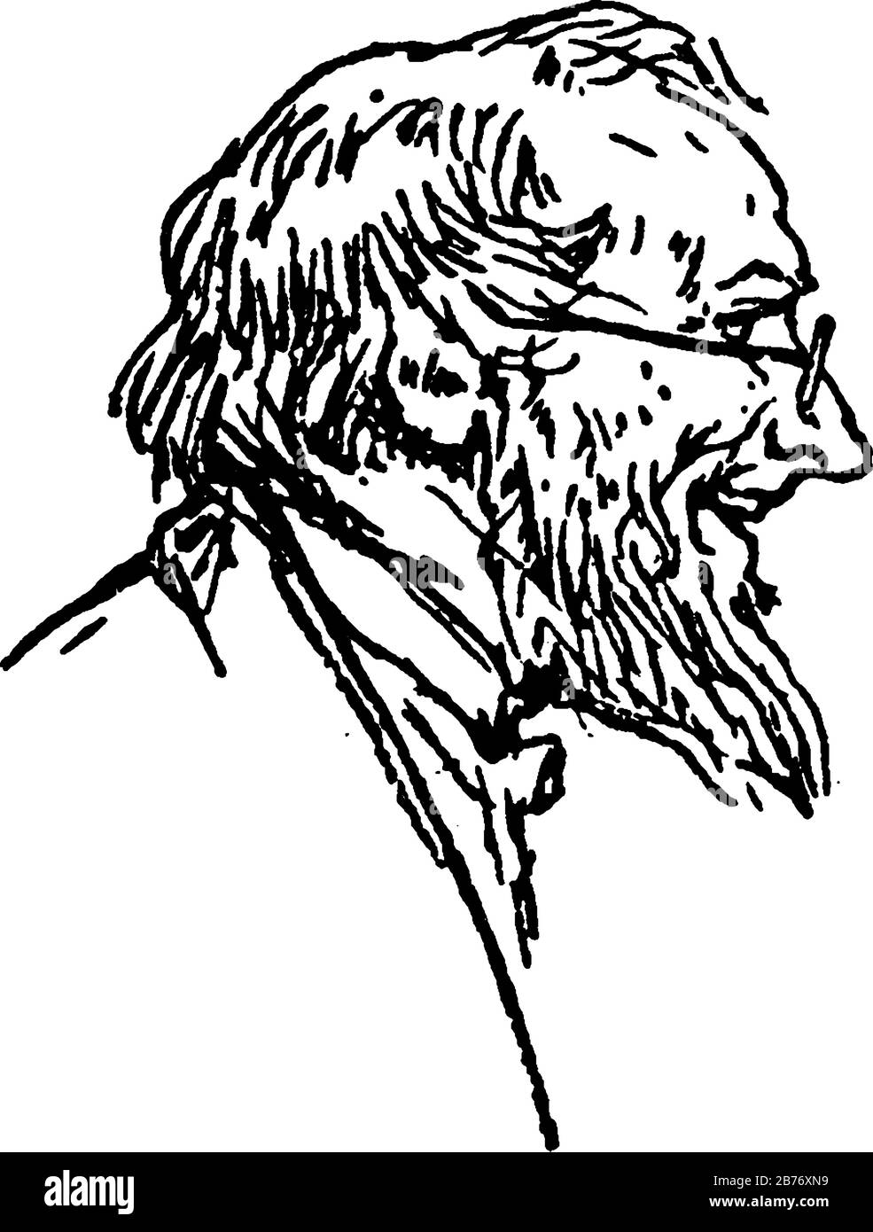 L'image illustre la vue latérale du profil d'un homme en manteau et cravate, avec des lunettes et une longue barbe, dessin vintage ou gravure illustrati Illustration de Vecteur