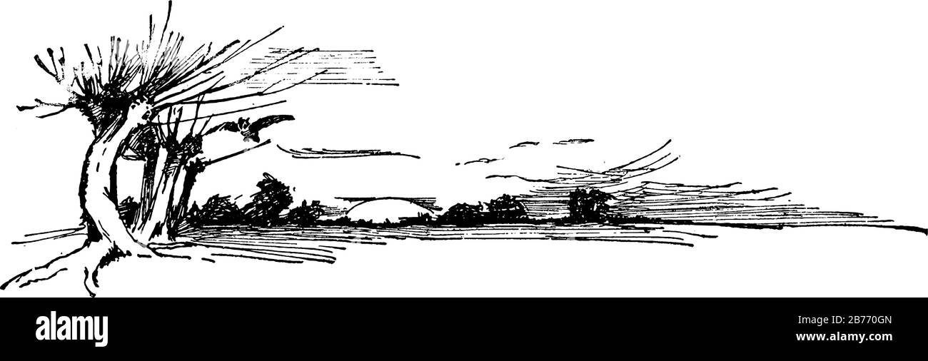 L'image représente un horizon avec un coucher de soleil, des oiseaux et des arbres, un dessin de ligne vintage ou une illustration de gravure. Illustration de Vecteur
