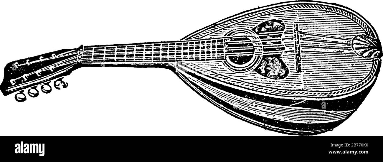 La mandoline, un instrument à cordes d'origine italienne, a généralement quatre cours de cordes de métal doublées réglées à l'unisson (8 cordes), vintage ligne dr Illustration de Vecteur