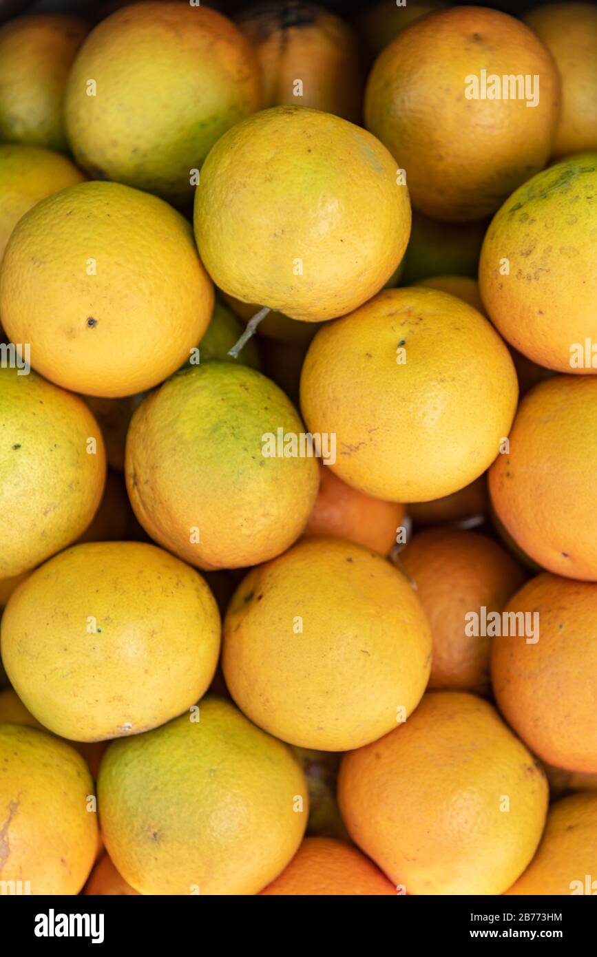 Dose fermée d'oranges fraîches empilées prêtes à manger Banque D'Images