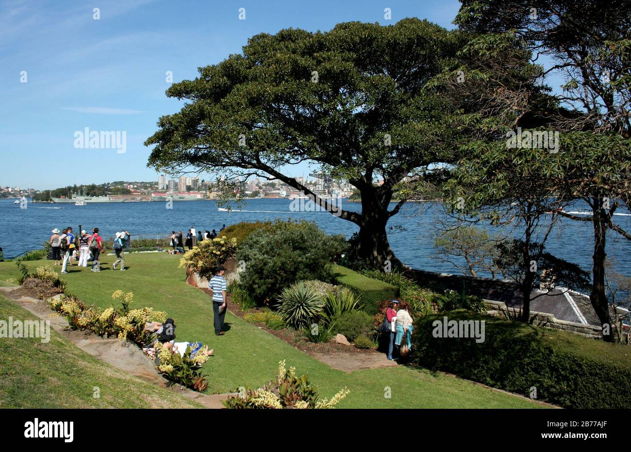 JARDINS DE LA MAISON DE KIRRIBILLI, LA RÉSIDENCE SECONDAIRE DU PREMIER MINISTRE D'AUSTRALIE SITUÉE DANS LA BANLIEUE DE KIRRIBILLI AU BORD DU PORT DE SYDNEY. NSW. Banque D'Images
