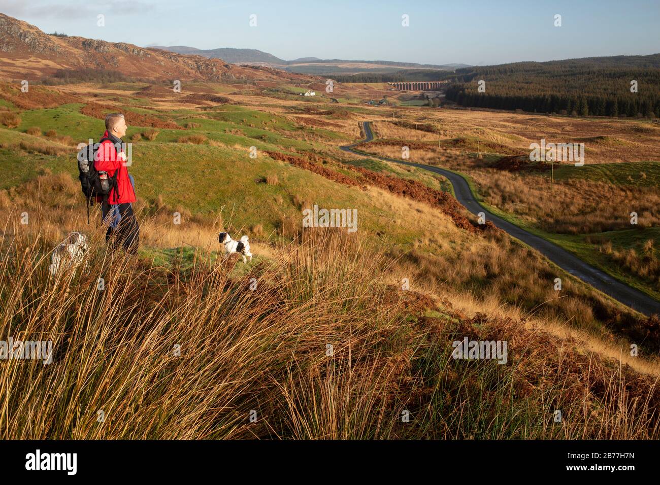 Marcher dans les Cairnsmore de la réserve naturelle nationale Fleet le long des Clins de Dromore, Galloway, Écosse, Royaume-Uni Banque D'Images