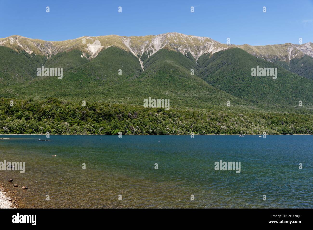 Les montagnes ont été poussées par la collision continentale pour former la toile de fond au lac glaciaire, le lac Rotoiti en Nouvelle-Zélande Banque D'Images